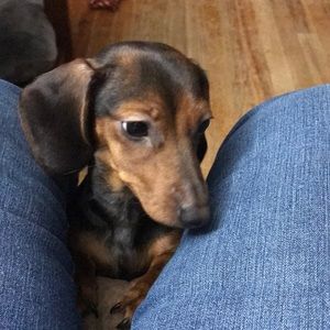 Meet your Posher, Sue